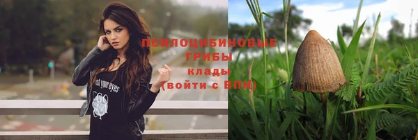 не бодяженный Няндома