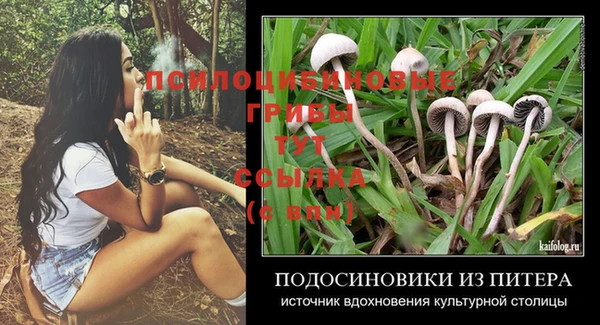 дживик Нязепетровск