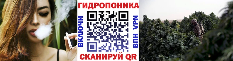 Шишки марихуана марихуана Братск